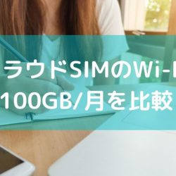 無制限から上限有りになったクラウドSIMの100GB/月の6社のWi-Fiサービスを比較