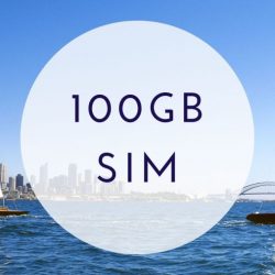 100GB SIM